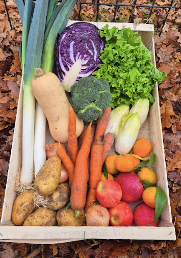 Panier de fruits et légumes