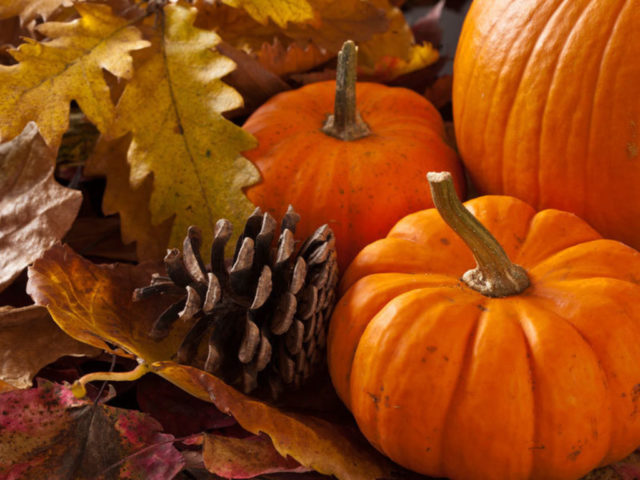 OFFRE D'AUTOMNE
