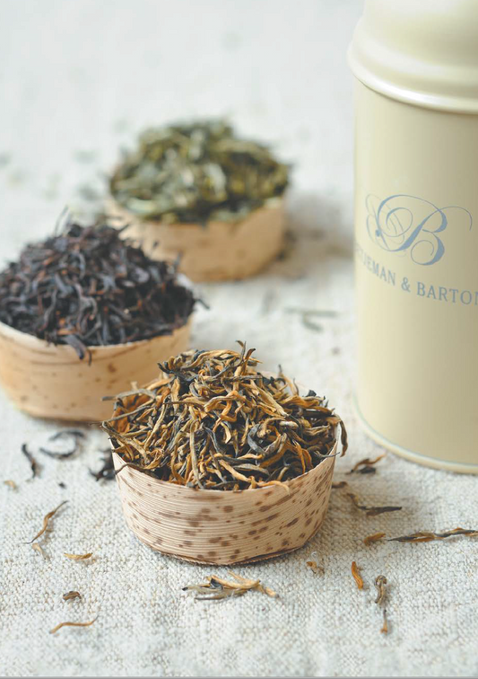 Tisane des Beaux jours, ultra pêche