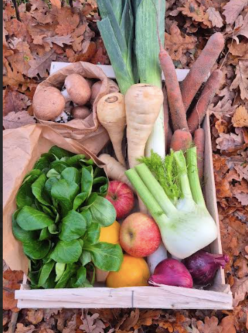 panier de fruits et légumes